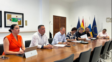 El Cabildo de La Palma autoriza el acceso a 19 viviendas, tres garajes y un local en Puerto Naos