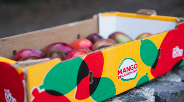 GMR Canarias impulsa la comercialización de más de 100.000 kg de mangos de La Gomera a través de una nueva imagen