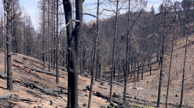 Declaran en alerta por riesgo de incendios a Gran Canaria a partir del martes