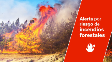 El Gobierno actualiza la situación de alerta por riesgo de incendios forestales a toda Canarias