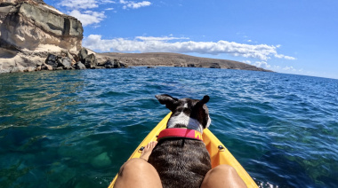 El Ayuntamiento de Las Palmas de Gran Canaria y el Colegio de la Profesión Veterinaria lanzan una nueva edición del concurso de fotografía ‘Mi amigo se viene conmigo’