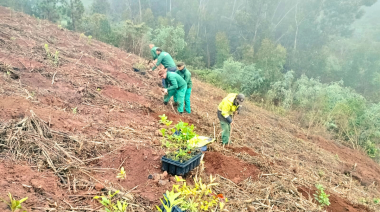 Foresta desarrolla un proyecto de reforestación para frenar la desertización en Gran Canaria