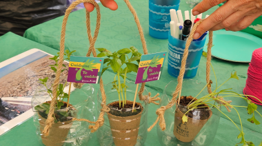 El Ayuntamiento de Las Palmas de Gran Canaria lanza un taller de plantas aromáticas y medicinales en El Pambaso