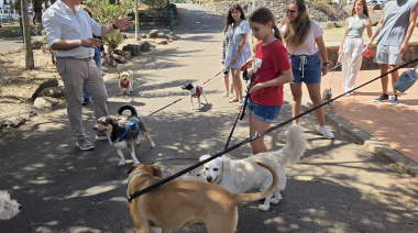 La Laguna amplía sus espacios para animales con la apertura de un nuevo parque canino en la urbanización César Manrique