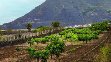 La Laguna refuerza el asesoramiento al sector primario y consolida su Banco de Tierras