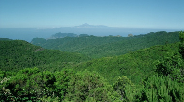 Canarias destina 587.800 euros a proyectos sostenibles de conservación de la biodiversidad en parques nacionales