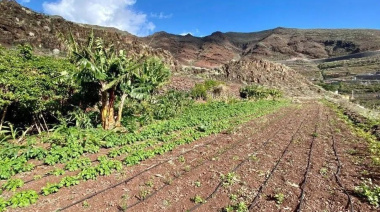 El Cabildo de La Gomera adjudica 29 huertos sociales y refuerza su apuesta por el uso sostenible del suelo agrícola
