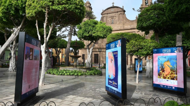 La Plaza de Santiago muestra hasta el 9 de septiembre los fondos de Sardina con una exposición colectiva sobre los once años de historia del FotoSub de Gáldar