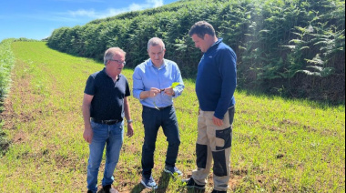 El Cabildo de Tenerife destina 200.000 euros a ayudar a las cooperativas agrícolas a mejorar su gestión técnica y comercial