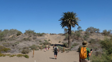 ImpulsaMaspalomas creará material audiovisual divulgativo sobre la Reserva Natural de las Dunas de Maspalomas