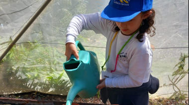 El Ayuntamiento de Las Palmas de Gran Canaria lanza una nueva edición de Huertos Escolares para centros educativos de la ciudad