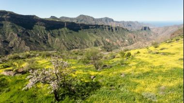 El Cabildo de Gran Canaria promueve el debate sobre la gestión del territorio, sus valores y las oportunidades de futuro con el ciclo ‘Saberes de mar a cumbre’