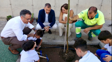 Santa Cruz disfruta ya de un nuevo corredor verde en la calle Pío Baroja de Salud-La Salle     La transformación de la vía que discurre entre la avenida Benito Pérez Armas y la calle Gavinet, finalizó con la plantación de 28 árboles del Vivero Municipal, 