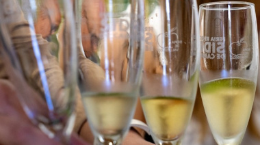 Las sidras canarias logran ocho premios en el concurso internacional SISGA 25, celebrado en Asturias