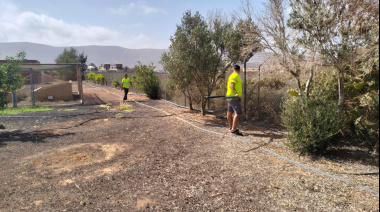 ‘Fuerteventura, bonita por naturaleza’ ejecuta mejoras en los jardines de la Estación Biológica de La Oliva