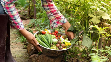 España se consolida como primer país europeo en superficie de producción ecológica