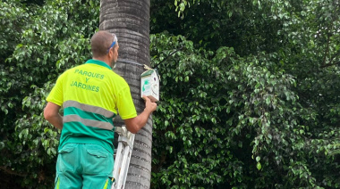 Las Palmas de Gran Canaria instalará 150 casas-nido para proteger a los pequeños pájaros de la ciudad