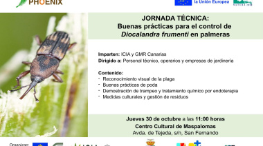 LIFE Phoenix organiza una jornada de formación en San Bartolomé de Tirajana sobre buenas prácticas para el control de Diocalandra frumenti en palmeras