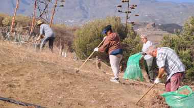 Telde avanza en el proyecto ‘Zonas Rurales Deprimidas 2025’ con la recuperación de fincas y caminos rurales