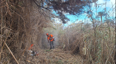 El Cabildo de Fuerteventura completa una intensa limpieza y desbroce de la carretera de entrada a Gran Tarajal y de la desembocadura del barranco