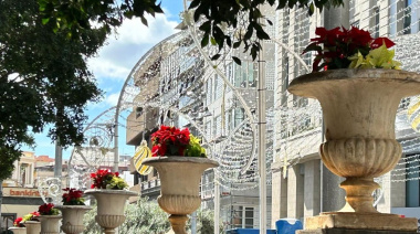 Santa Cruz inicia la campaña de plantación de Flor de Pascua con más de 47.000 unidades