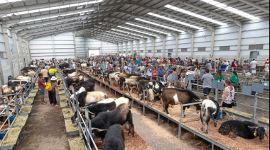 La Feria de Agricultura, Ganadería y Pesca de Fuerteventura (FEAGA) vuelve del 16 al 19 de abril