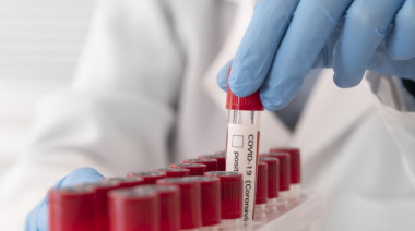 Las enfermedades de la sangre: claves para entender la función de los glóbulos rojos y su impacto en la salud