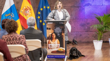 Canarias apela a la "unidad" contra la violencia de género y se enfoca a las mujeres con discapacidad
