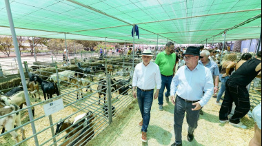 Sector Primario de Gran Canaria fomenta el asociacionismo de los ganaderos con una partida de 208.000 euros en ayudas a entidades en 2026