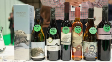 Los vinos herreños deslumbran en el XXV Salón de los ‘Mejores Vinos de España’