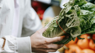 La lechuga fue el producto agrícola que más subió su precio en origen durante el último año en Canarias