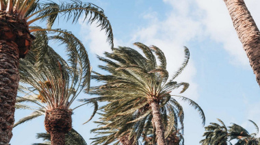 El Cabildo de Gran Canaria activa el PEIN en modo de alerta por previsión de fuertes vientos este domingo