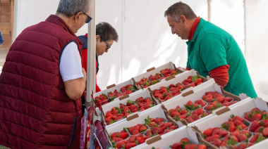 El Mercado Agrícola de Gáldar regresa este domingo en su segunda edición del año apostando por lo local
