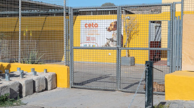 Patrimonio habilita la cesión temporal de 10.000 m² para impulsar un albergue comarcal de animales en San Bartolomé de Tirajana