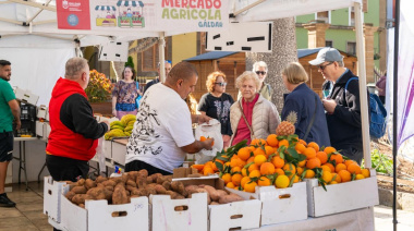 El Mercado Agrícola de Gáldar vuelve este domingo en la calle Fernando Guanarteme