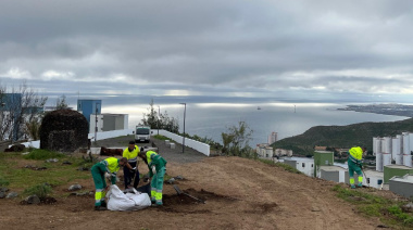 Parques y Jardines de Las Palmas de Gran Canaria renaturaliza el mirador de El Lasso