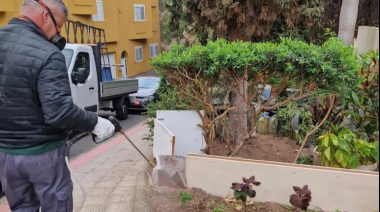 El Ayuntamiento de Las Palmas de Gran Canaria realiza 247 intervenciones de desinsectación y desratización en enero en los cinco distritos de la ciudad
