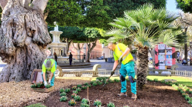 La Laguna añade color a sus espacios ajardinados con una nueva plantación de flores de temporada