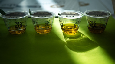 El Gobierno de Canarias convoca el Concurso Oficial de Aceite de Oliva Virgen Extra Agrocanarias 2026