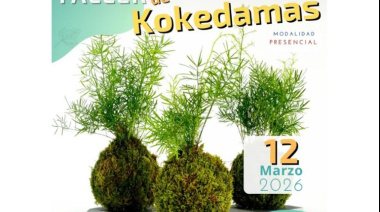Arucas abre las preinscripciones para el taller de Kokedamas