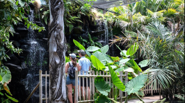 El Palmetum, premiado con el galardón de “Amigos del Botánico” 2026 de Madrid