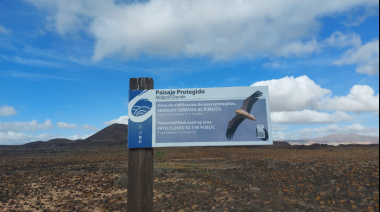El Cabildo de Fuerteventura cierra temporalmente determinados tramos de senderos como medida clave para proteger las aves en época de cría