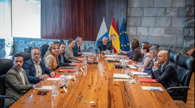 Canarias rechaza el "café para todos" y exige medidas específicas para las islas en el decreto anticrisis