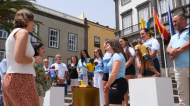 El IMD de Las Palmas de Gran Canaria abre la convocatoria de subvenciones para el fomento del deporte de equipo femenino