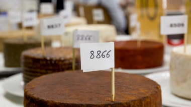 Cinco quesos canarios aspiran a convertirse en el mejor de España según el jurado de Gourmets 2026
