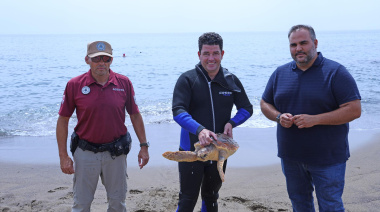 El Cabildo de Lanzarote integra el Servicio de Rescate de Fauna Accidentada en el Área de Medio Ambiente a partir del 1 de abril