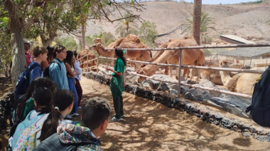 Antigua impulsa las excursiones y actividades gratuitas para jóvenes del Municipio