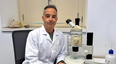 Museos de Tenerife nombra a Alejandro de Vera Hernández nuevo director del Museo de Ciencias Naturales