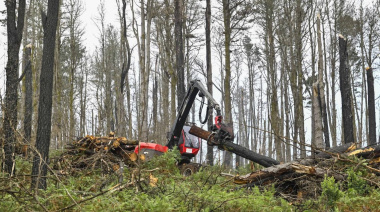 El Cabildo de Tenerife refuerza al Sector Primario con el reparto gratuito de astilla forestal