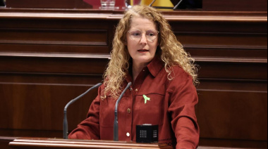 El PP lleva al Parlamento ampliar los plazos de ejecución de los fondos Next Generation para la energía sostenible en Canarias